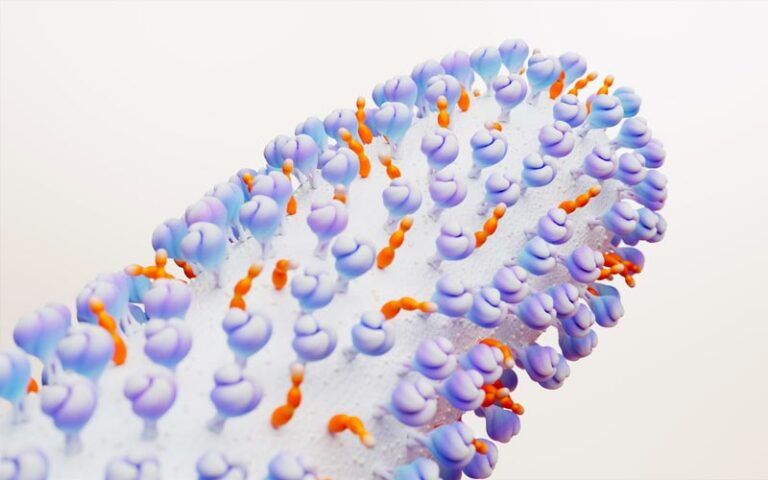 The RSV Virus